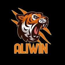 aliwin Gaming Pro