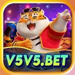 v5v5 - VIP Premium